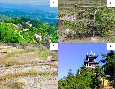 Evolution of livelihood vulnerability in rice terrace systems: Evidence from households in the Ziquejie terrace system in China